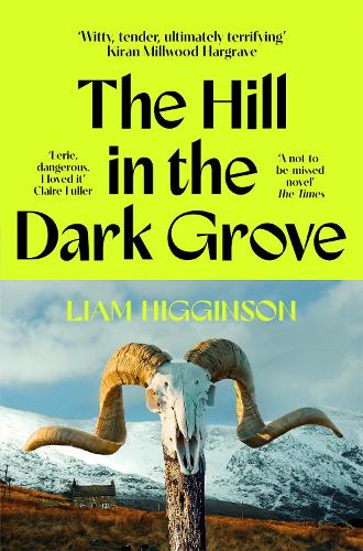 Бумажная книга «The Hill in the Dark Grove», автор Лиам Хиггинсон - фото №1