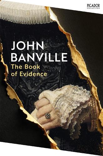 Бумажная книга «The Book of Evidence», автор Джон Банвилл - фото №1