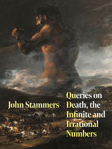 Бумажная книга «Queries on Death, the Infinite and Irrational Numbers», автор Джон Стаммерс - фото №1