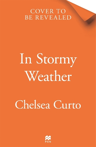 Бумажная книга «In Stormy Weather», автор Челси Курто - фото №1