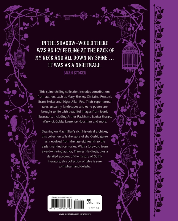 Бумажная книга «The Macmillan Collection of Gothic Tales», автор Macmillan Children's Books - фото №1