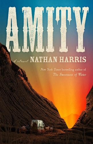 Бумажная книга «AMITY: from the Booker-longlisted author of The Sweetness of Water», автор Натан Харрис - фото №1