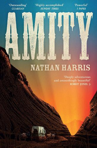 Бумажная книга «Amity: from the Booker-longlisted author of The Sweetness of Water», автор Натан Харрис - фото №1