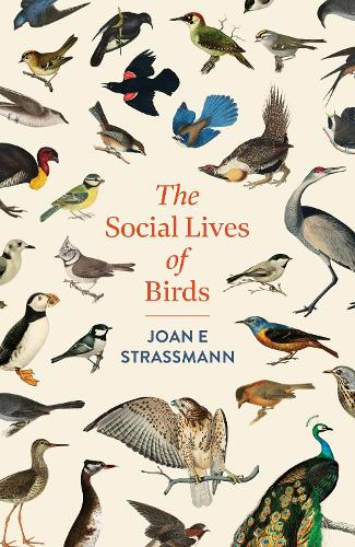 Паперова книга «The Social Lives of Birds», автор Джоан Е. Страссман - фото №1