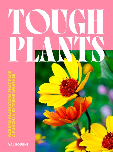 Бумажная книга «Tough Plants: Garden gladiators that pack a punch in extreme weather», автор Вэл Борн - фото №1
