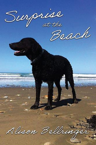 Бумажная книга «Surprise at the Beach», автор Элисон Беллинджер - фото №1