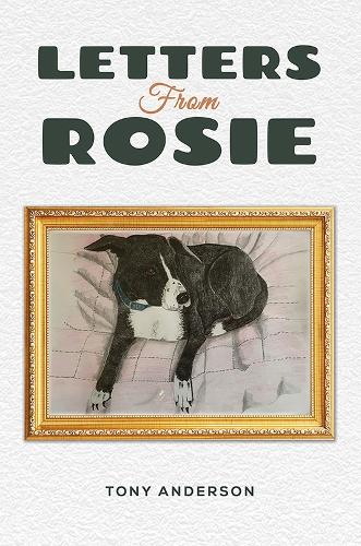 Бумажная книга «Letters from Rosie», автор Тони Андерсон - фото №1