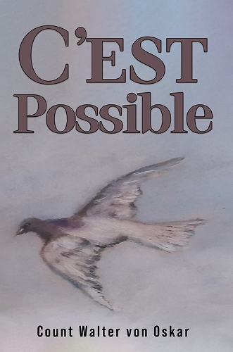 Бумажная книга «C'est Possible», автор Вальтер фон Оскар - фото №1