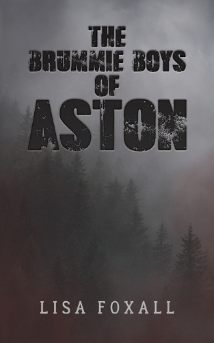 Бумажная книга «The Brummie Boys of Aston», автор Лиза Фоксолл - фото №1