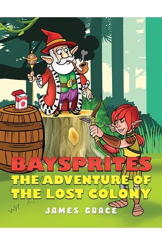 Бумажная книга «Baysprites: The Adventure of the Lost Colony», автор Джеймс Грейс - фото №1
