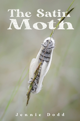 Бумажная книга «The Satin Moth», автор Дженни Додд - фото №1