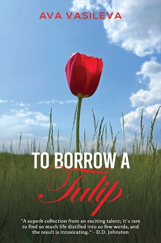 Бумажная книга «To Borrow a Tulip», автор Эва Васильева - фото №1