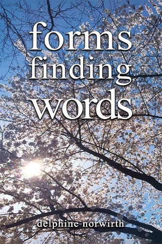 Бумажная книга «forms finding words», автор Дельфина Норвирт - фото №1