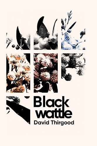 Паперова книга «Blackwattle», автор Девід Тіргуд - фото №1