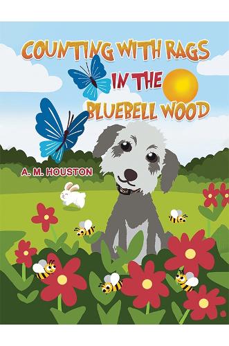 Бумажная книга «Counting with Rags in the Bluebell Wood», автор А. М. Хьюстон - фото №1