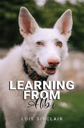 Бумажная книга «Learning from Albi», автор Лоис Синклер - фото №1