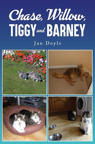 Паперова книга «Chase, Willow, Tiggy and Barney», автор Ієн Дойл - фото №1