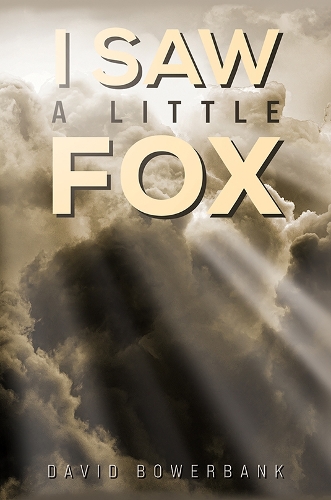 Бумажная книга «I Saw a Little Fox», автор Дэвид Боуэрбэнк - фото №1