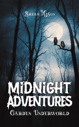 Бумажная книга «Midnight Adventures Garden Underworld», автор Брайан Мейсон - фото №1