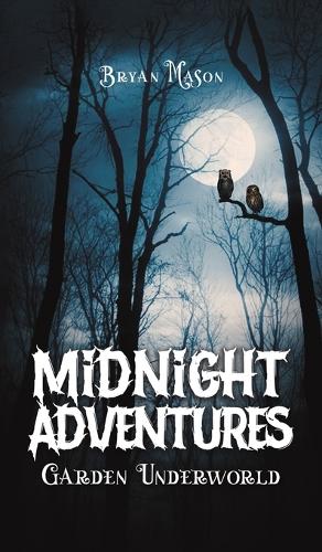 Бумажная книга «Midnight Adventures Garden Underworld», автор Брайан Мейсон - фото №1