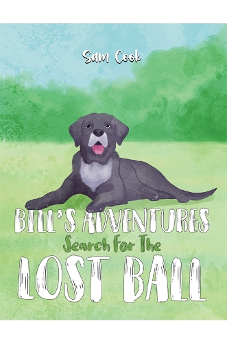 Бумажная книга «Bill’s Adventures: Search for the Lost Ball», автор Сэм Кук - фото №1