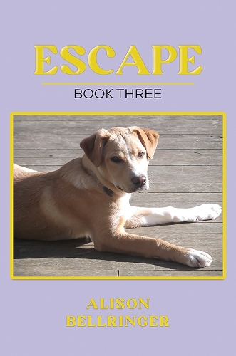 Паперова книга «Escape», автор Елісон Беллрінгер - фото №1