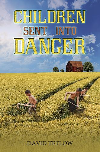 Бумажная книга «Children Sent into Danger», автор Дэвид Тетлоу - фото №1