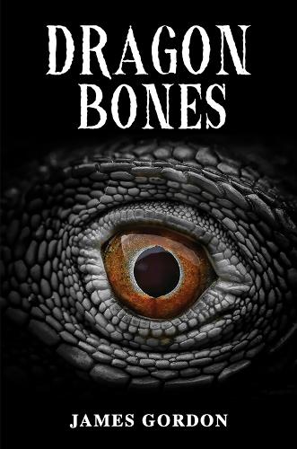 Бумажная книга «Dragon Bones», автор Джеймс Гордон - фото №1