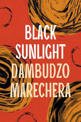 Бумажная книга «Black Sunlight» - фото №1