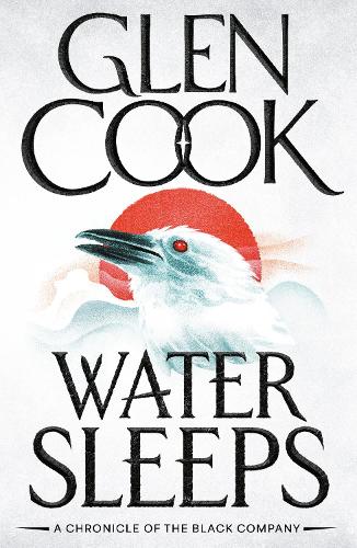 Бумажная книга «Water Sleeps», автор Глен Кук - фото №1