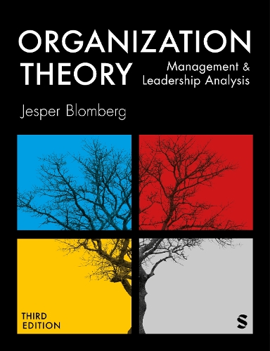 Паперова книга «Organization Theory: Management and Leadership Analysis», автор Джеспер Бломберг - фото №1