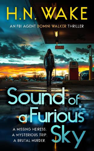 Бумажная книга «Sound of a Furious Sky: A Gripping FBI Crime Thriller» - фото №1