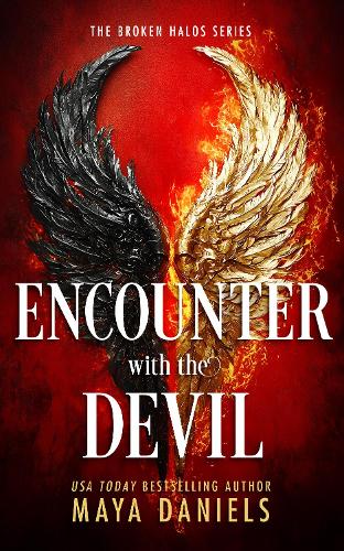 Паперова книга «Encounter with the Devil», автор Майя Деніелс - фото №1