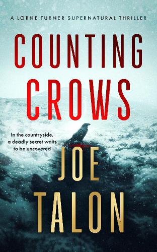 Бумажная книга «Counting Crows: A supernatural mystery where old rites meet new crimes», автор Джо Талон - фото №1