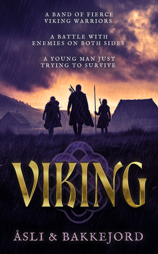 Paper book «Viking: A Viking Historical Fiction Adventure», authors Ole Åsli, Tony Bakkejord - фото №1