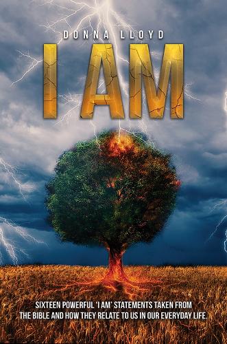 Бумажная книга «I Am: Sixteen powerful ‘I AM’ statements taken from the Bible and how they relate to us in our everyday», автор Донна Ллойд - фото №1