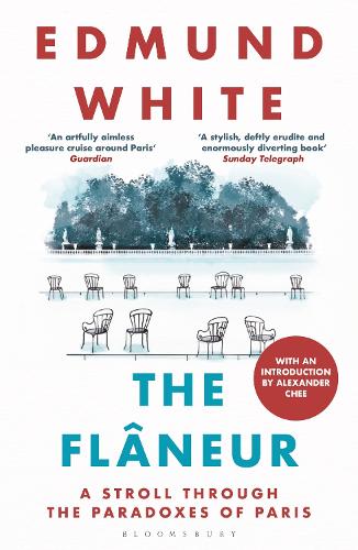Паперова книга «The Flaneur: A Stroll through the Paradoxes of Paris», автор Едмунд Вайт - фото №1