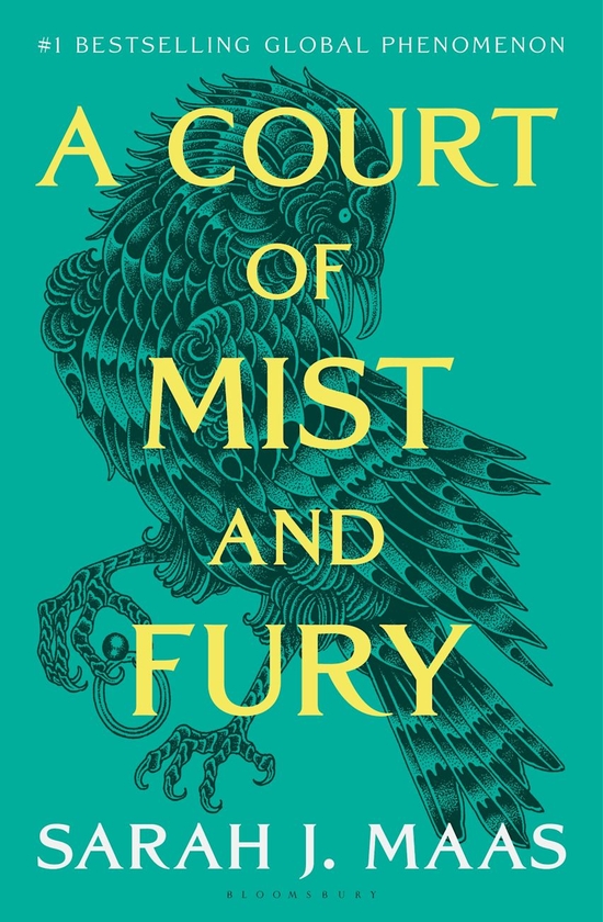Бумажная книга «A Court of Mist and Fury», автор Сара Дж. Маас - фото №1
