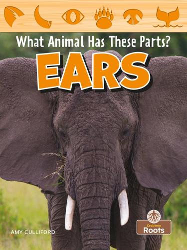 Паперова книга «Ears», автор Емі Калліфорд - фото №1