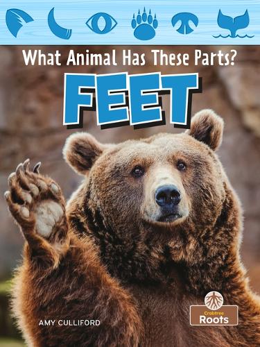 Бумажная книга «Feet», автор Эми Каллифорд - фото №1