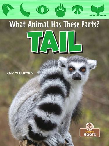 Паперова книга «Tail», автор Емі Калліфорд - фото №1
