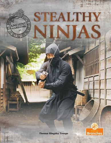 [object Object] «Stealthy Ninjas», автор Томас Кингсли Трупп - фото №1