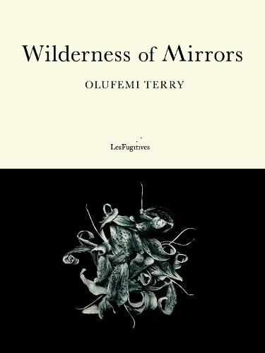 Бумажная книга «Wilderness of Mirrors», автор Олуфеми Терри - фото №1