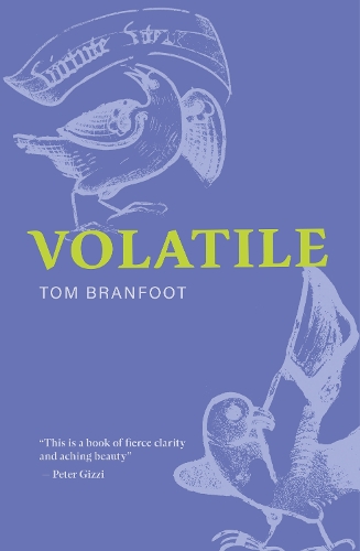 Бумажная книга «Volatile», автор Том Бранфут - фото №1