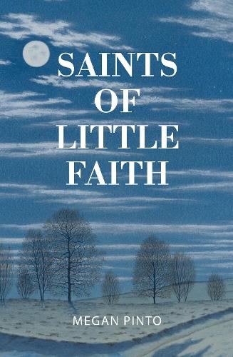 Бумажная книга «Saints of Little Faith», автор Меган Пинто - фото №1