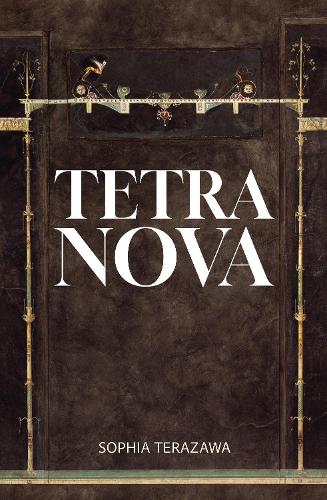 Бумажная книга «Tetra Nova», автор София Теразава - фото №1