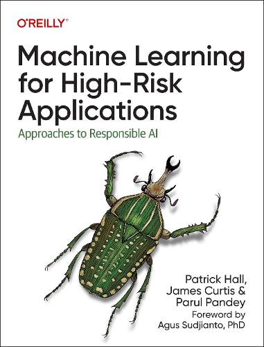 Бумажная книга «Machine Learning for High-Risk Applications: Approaches to Responsible AI», авторов Парул Пандей, Патрик Холл - фото №1