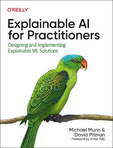 Паперова книга «Explainable AI for Practitioners: Designing and Implementing Explainable ML Solutions», авторів Девід Пітман, Майкл Манн - фото №1