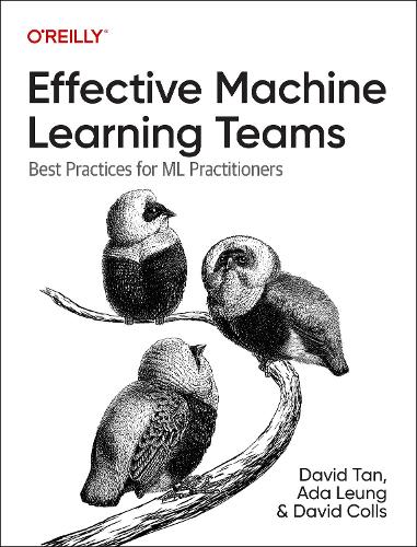[object Object] «Effective Machine Learning Teams: Best Practices for ML Practitioners», авторів Ада Люн, Девід Коллс - фото №1