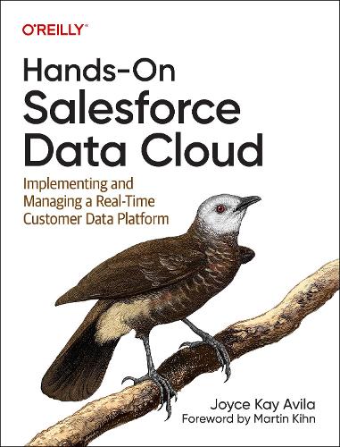 [object Object] «Hands-On Salesforce Data Cloud: Implementing and Managing a Real-Time Customer Data Platform», автор Джойс Кей Авіла - фото №1
